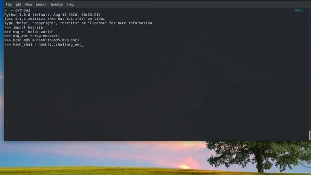 Encoding Data in Python using the Hashlib Library смотреть онлайн