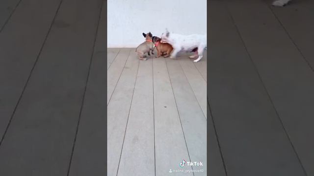 Вечерние игры с мамой смотреть онлайн