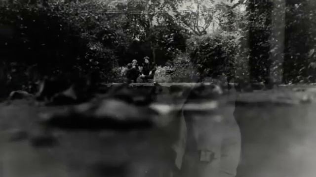 Что ответил ветер смотреть онлайн