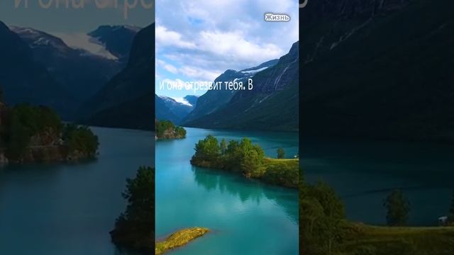 Притча о жизни Кольцо царя Соломона смотреть онлайн