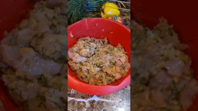 Куриная пасторма смотреть онлайн