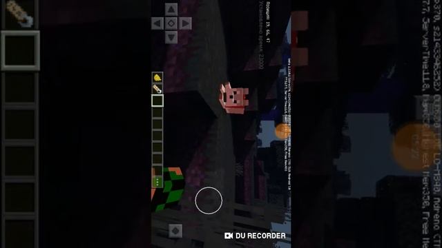 Новые собаки в майнкрафт обзор мода майнкрафт. смотреть онлайн