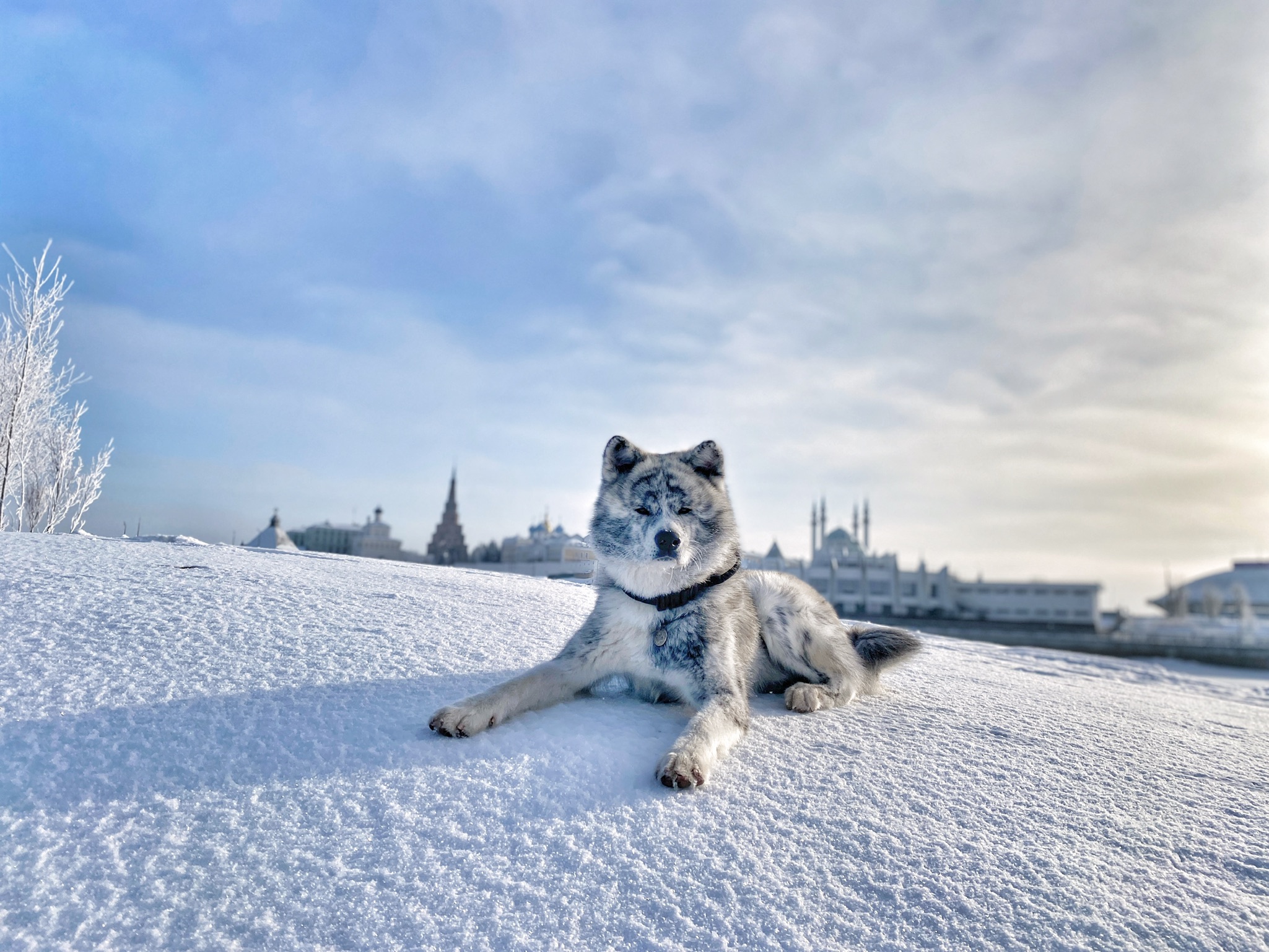 Белая Казань ☃️ смотреть онлайн