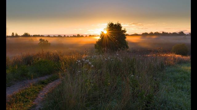 Пение птиц. Звуки природы. смотреть онлайн