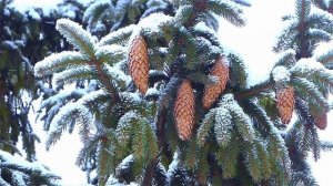 Замела метелица город мой (минус)