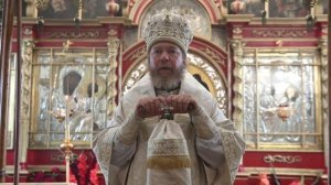 Проповедь митрополита Тихона в Неделю 11-ю по Пятидесятнице