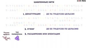 ПЦР -  диагностика вирусной инфекции, коронавируса - наглядное объяснение метода