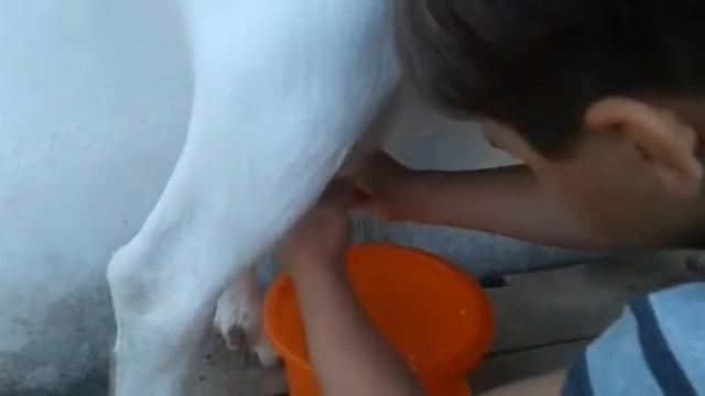 Доярка смотреть онлайн