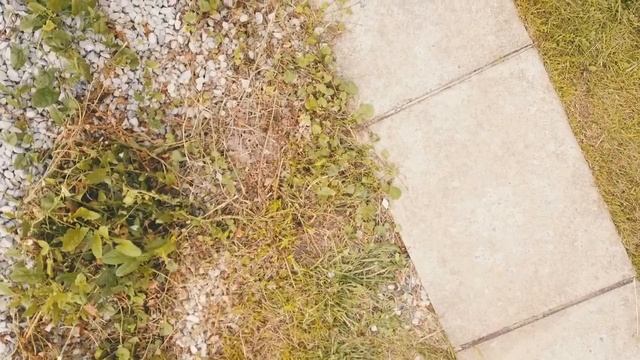 Деревня Чернецово Псковская область. В гостях у однополчанина Сани Молоданова. смотреть онлайн