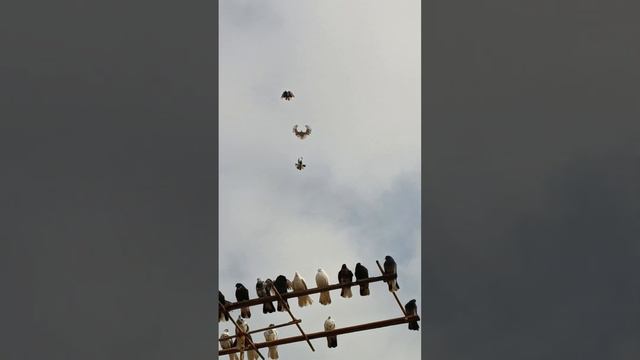3 февраля 2024 г. смотреть онлайн