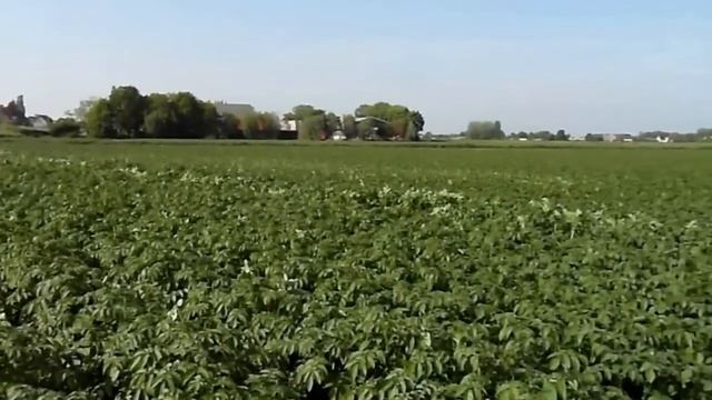 Дождевальные машины барабанного типа на картофельном поле смотреть онлайн