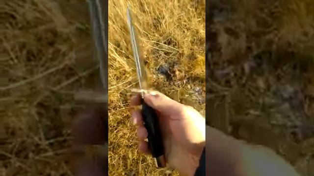 Легендарная финка "НКВД" сталь - bohler k110, рукоять - черный граб. смотреть онлайн