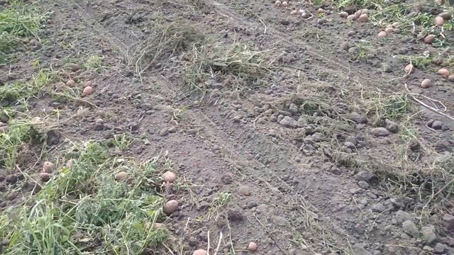 Последствия заморозка смотреть онлайн