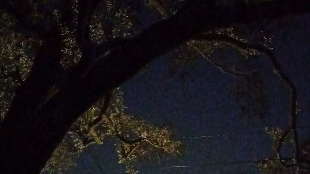 Лунная соната. 19 июля 2022, ночь смотреть онлайн