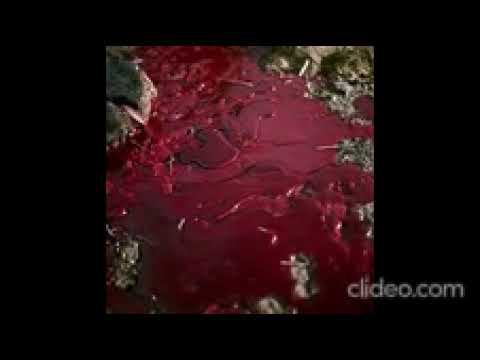 пятистенок смотреть онлайн