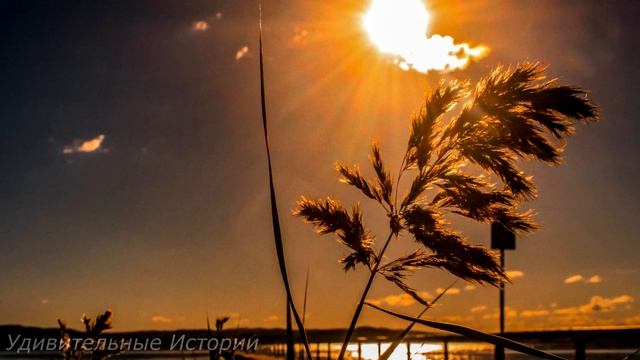 Заходя в кабинет к начальнику, Полина понимала, что её жизнь больше никогда не станет прежней... смотреть онлайн