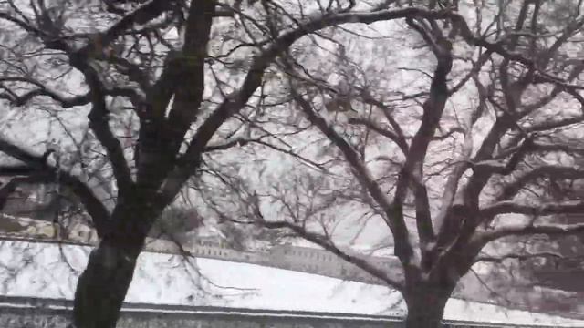 Мюнхен/ Экскурсия в снегу| часть 2|Германия Бавария смотреть онлайн