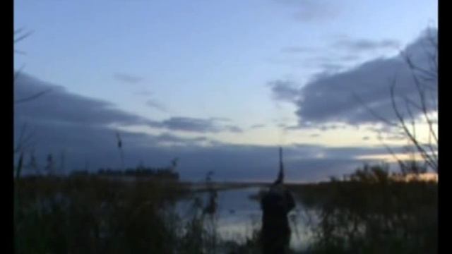 Открытие охоты на утку в Карелии смотреть онлайн