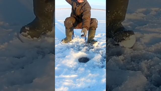 щука на балансир смотреть онлайн