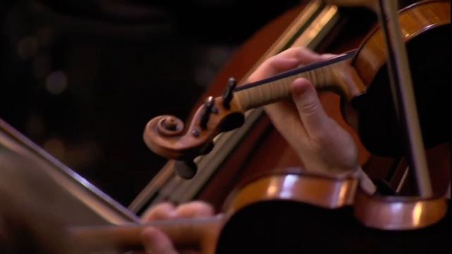 🇺🇦Pisnya pro rushnyk🇺🇦 | Karl-Magnus Fredriksson & Hovkapellet | Conductor - Sasha Yankevych смотреть онлайн