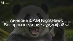 Настраиваем воспроизведение своего аудиофайла через динамик IP-камер серии Night Hawk