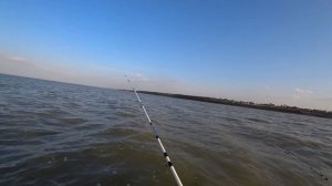 Ловим в АЗОВСКОМ МОРЕ. Я такую рыбу с берега не ловил.