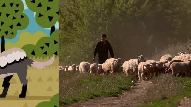 Wolf in Sheep's Clothing Meaning | Idioms in English смотреть онлайн