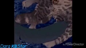 [Warriors Cats] | Коты Воители | Смерть Звездоцапа | Я монстр | Заказ