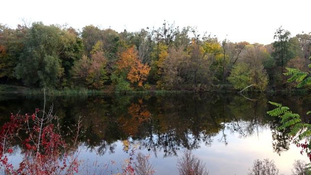 "Александрия" - Дендропарк в г. Белая Церковь, Украина. смотреть онлайн