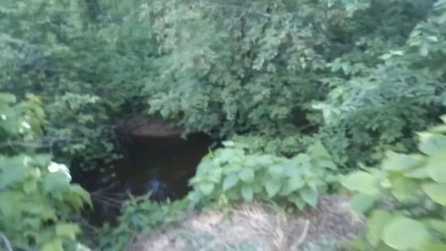 Обзор баньки и участка у подружки на даче! ? смотреть онлайн