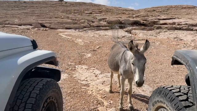 Оман. Вокруг Маската смотреть онлайн