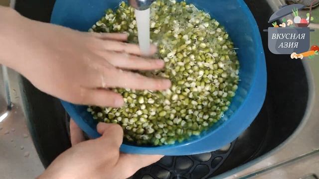 Как прорастить маш в домашних условиях/How to germinate mung bean at home. смотреть онлайн