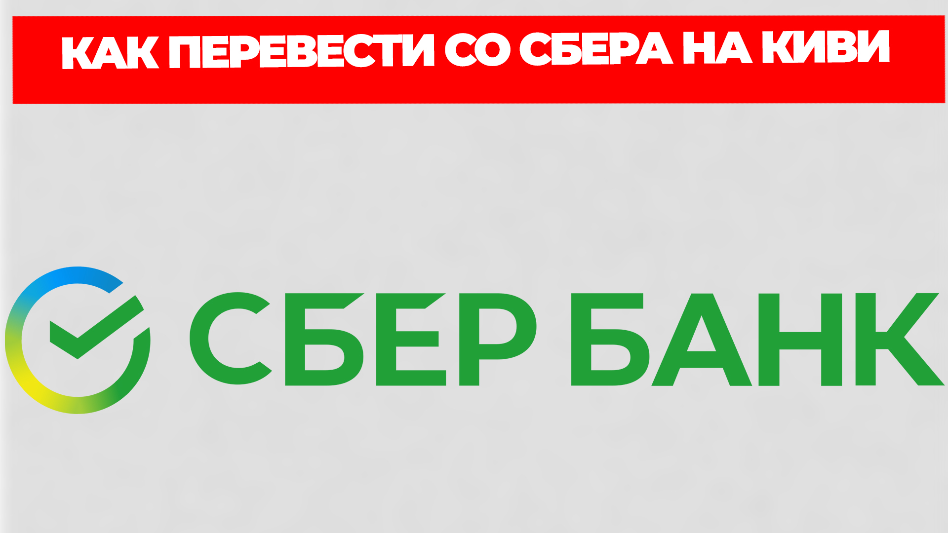 Всезнающий Енот