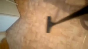 УСПОКАИВАЮЩИЙ ЗВУК ПЫЛЕСОСА???