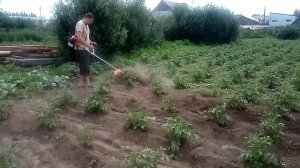 Насадка на триммер гусиные лапки