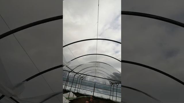 последствие урагана смотреть онлайн