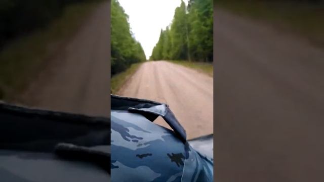 Лес тайга мотоцикл смотреть онлайн