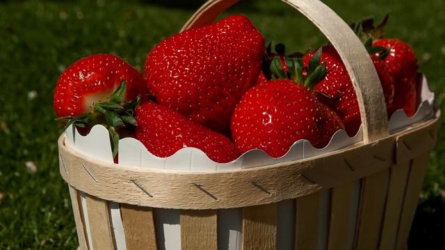 Пара капель на клубнику, ОГО УРОЖАЙ, надо много клубники? Эта уникальная подкормка клубники йодом смотреть онлайн