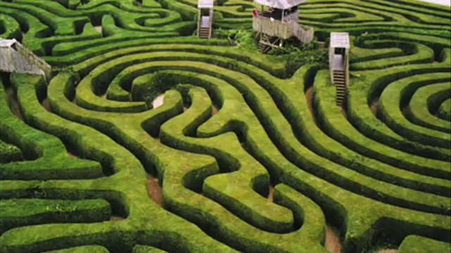 Des'ree - Crazy Maze