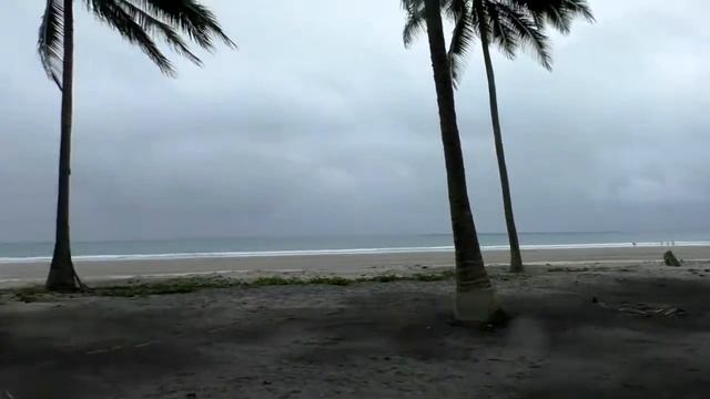 Креветки в кокосе - ОБАЛДЕННО ВКУСНО и ЛЕГКО (Кухня Эквадора)