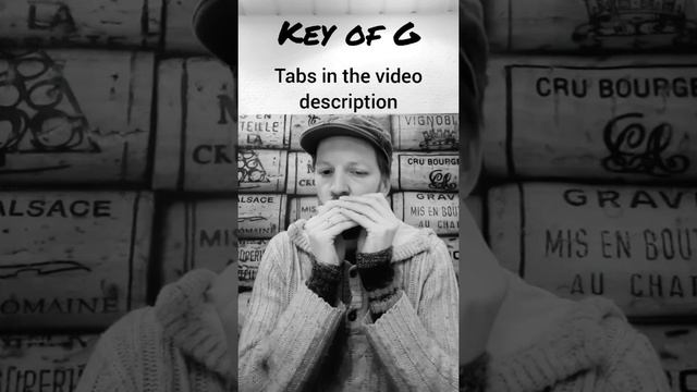 The Wellerman (Played in 5 ways on a G- and C-harp) - Harmonica (+Tabs) смотреть онлайн