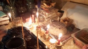 РАССОРКА НА ШЕРСТЬ КОШКИ И СОБАКИ!