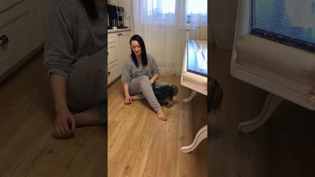 ВИНИЛАМ честный отзыв после 5 лет эксплуатации | 18+ смотреть онлайн