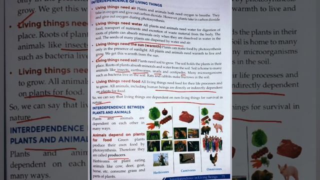 Interdependence in Living Beings (Part-1), Class-5, ICSE смотреть онлайн