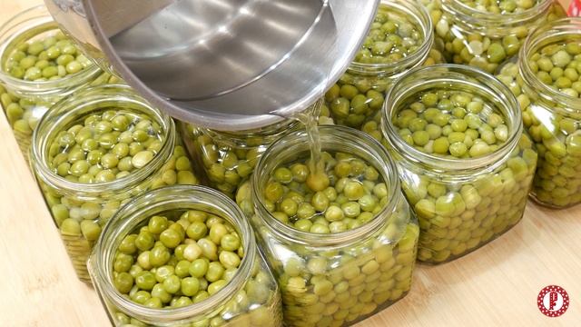 Наука о Животных и их Поведение