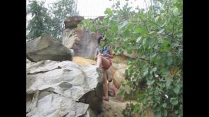 VLOG#1 : Тфп съемка, НЮ, Фотосессия от профессионала.