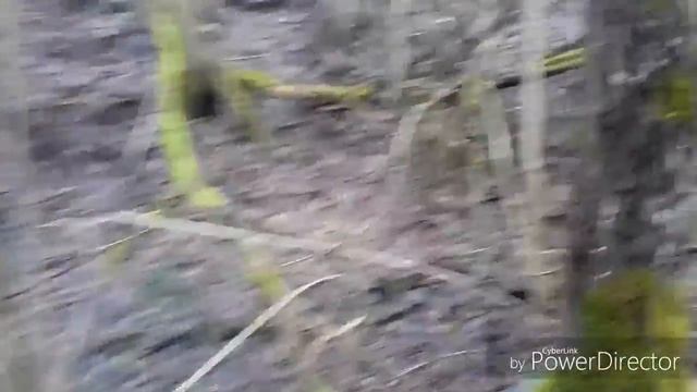 Как стать депутатом (5 часть) завершение сбора подписей смотреть онлайн