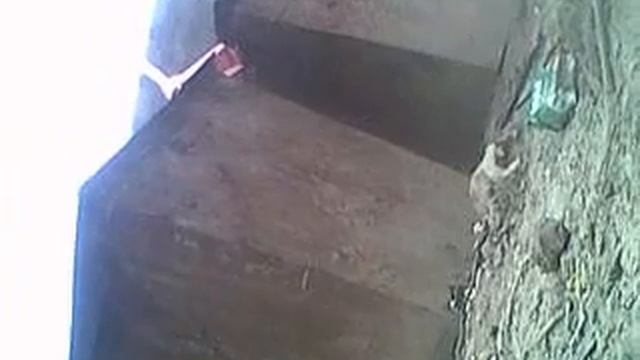 ломаю стекло) смотреть онлайн