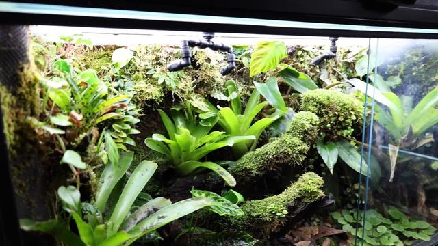 Taking a Tour of the World’s DEADLIEST Room | FROG ROOM TOUR 2023 смотреть онлайн