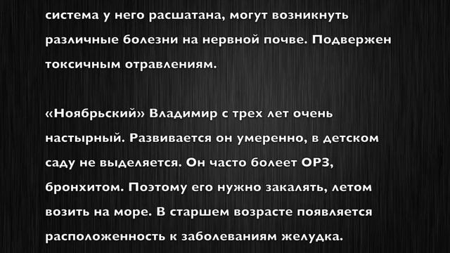 Владимир. Имя и здоровье ребенка. Имена для мальчиков